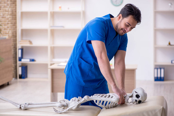 Молодой врач осматривает скелет пациента - Фото, изображение