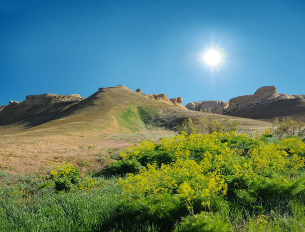 hill on the plateau. Ustyurt - Photo, Image