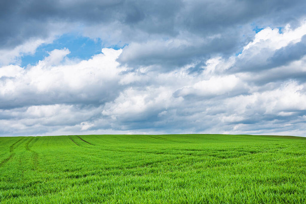 Green field and blue sky white cloud nature background.Farmland. Beautiful field against blue sky with white clouds. Agriculture scene - Photo, Image