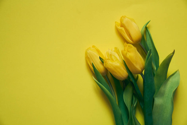 Пять желтых свежих тюльпанов на желтом фоне - Фото, изображение