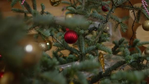 Κοντινό πλάνο διακοσμημένου χριστουγεννιάτικου δέντρου - Πλάνα, βίντεο