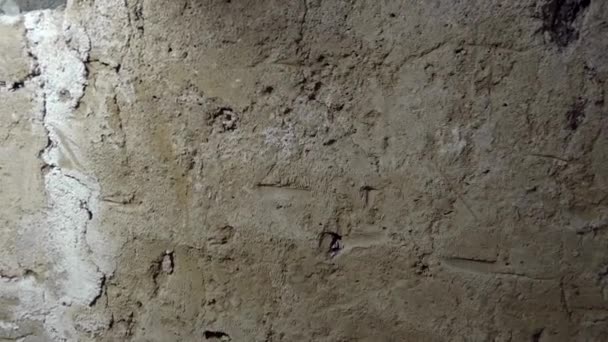 Earthen cellar wall. Untreated clay wall in wine cellar. - Footage, Video