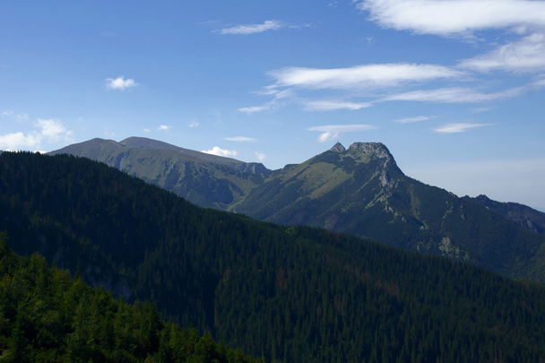 Peak, Polonia, Tatras
 - Foto, imagen