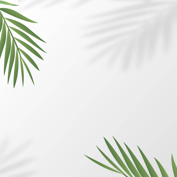 Tropikalna kwadratowa rama z liśćmi palmy. Wektor. - Wektor, obraz
