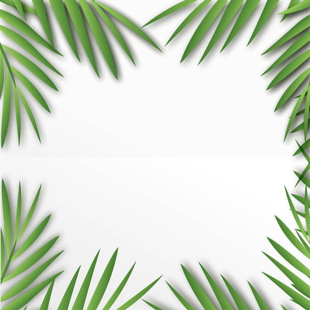 Tropical square frame with palm tree leaves. Vector. - Vector, Image