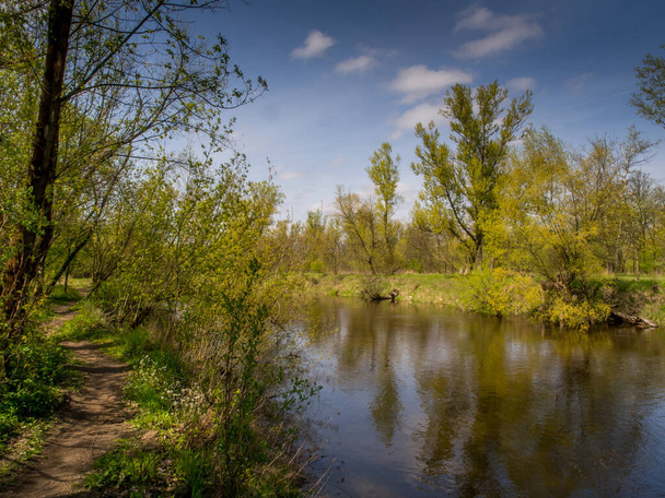Fietspad in het bos langs de rivier de Sbreder - Foto, afbeelding