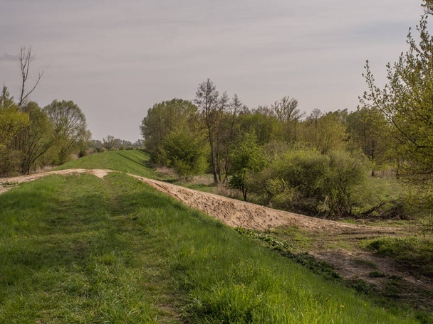 Una riva alluvionale lungo il fiume Vistola nelle vicinanze di Karczew - Foto, immagini