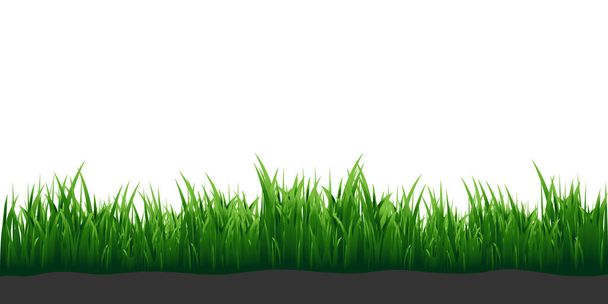 Зелена трава. Зелена газонна трава. Елементи вашого дизайну
. - Вектор, зображення