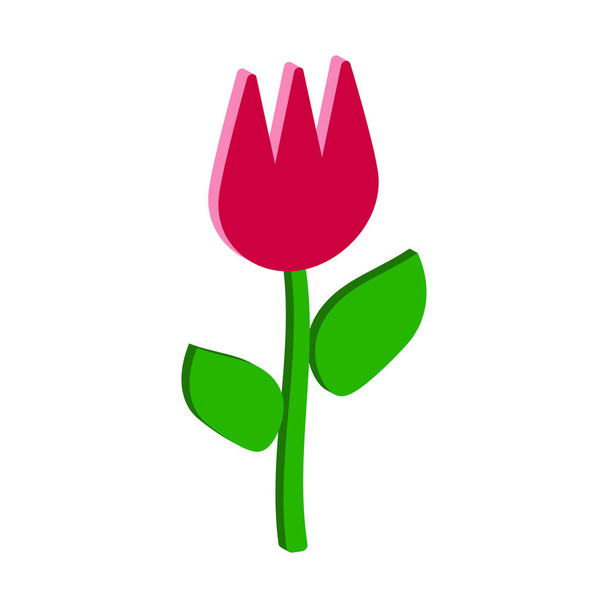 Tulipe rouge isolée sur fond blanc Vue imétrique et 3D. - Vecteur, image