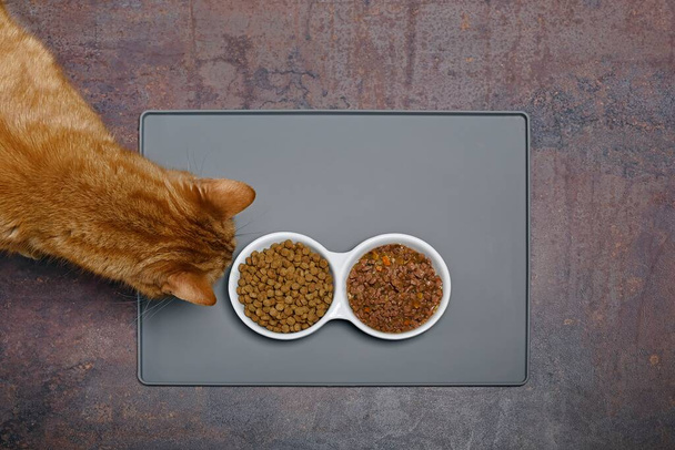 Vista aérea de un gato rojo olfateando comida húmeda y seca para mascotas desde el tazón de cerámica. - Foto, imagen
