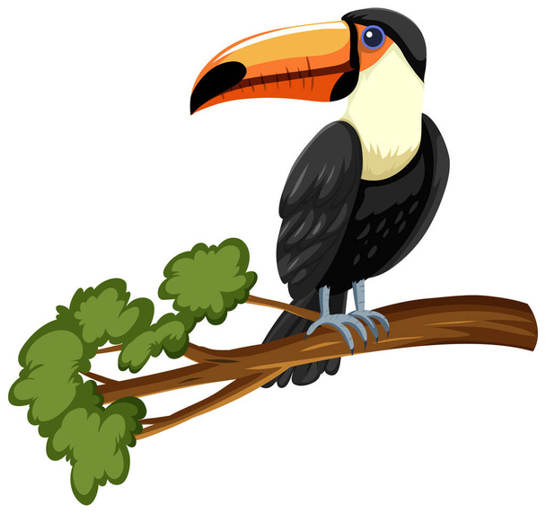 Pájaro tucán en una rama aislada sobre fondo blanco ilustración - Vector, Imagen