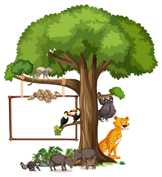 Bannière vide avec animaux sauvages et arbres de la forêt tropicale sur fond blanc illustration - Vecteur, image