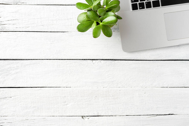 Elegant laptop and small green flower on white wooden table. Business background - Φωτογραφία, εικόνα