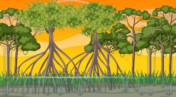 Escena de la naturaleza con bosque de manglares al atardecer en ilustración de estilo de dibujos animados - Vector, imagen