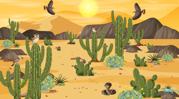 Sivatagi erdő táj naplemente jelenet sivatagi állatok és növények illusztráció - Vektor, kép