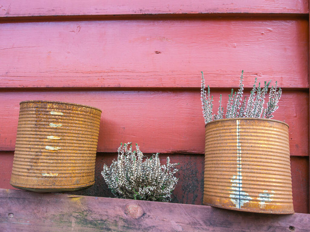 Deux boîtes rouillées comme pots de bruyère - Photo, image