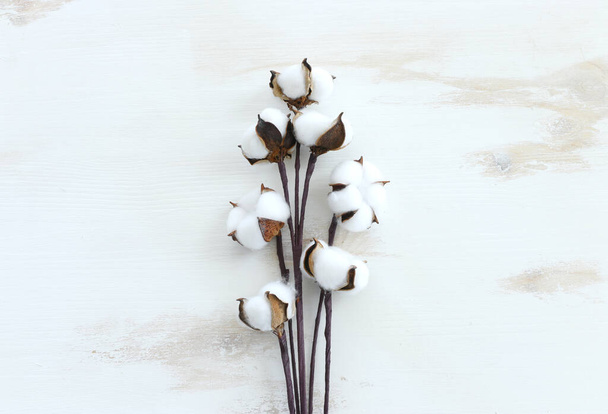 Creative image of beautiful cotton flowers over old white wooden background. - Foto, afbeelding