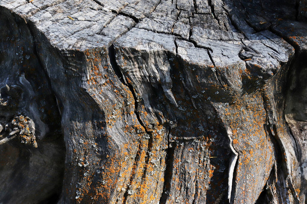 oude hout textuur achtergrond abstract - Foto, afbeelding