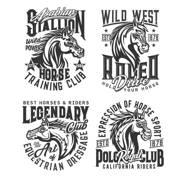 スタリオン馬と野生のベクトルTシャツの印刷モックアップをマスタング。乗馬スポーツ、競馬、ロデオ、ポロクラブのカスタムアパレルテンプレート純血種の馬の動物、マンとスターグランジバッジ - ベクター画像
