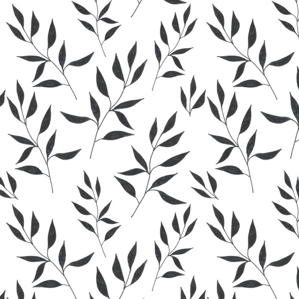 pattern leaves on a white background - Zdjęcie, obraz