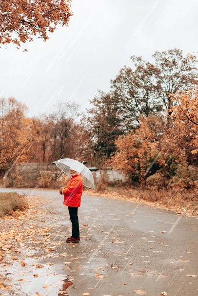 Donna in giacca rossa cammina lungo strade bagnate e piovose sotto l'ombrello trasparente. Vista posteriore con spazio di copia - Foto, immagini