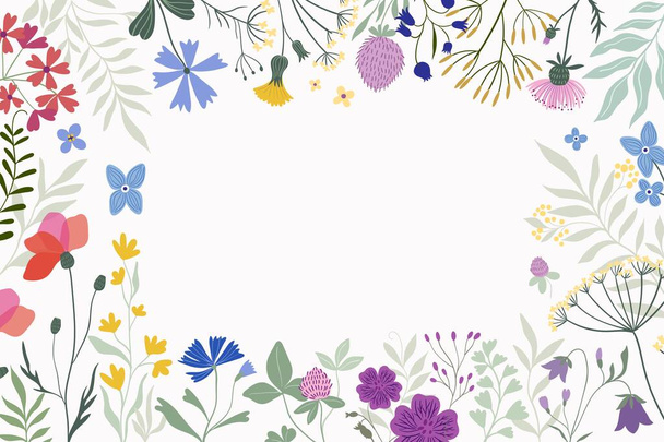 Bordure florale, cadre décoratif avec des fleurs et des plantes de prairie, fond blanc - Vecteur, image