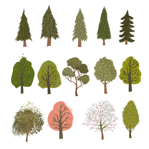 Illustrazioni colorate di diversi alberi isolati su sfondo bianco - Vettoriali, immagini