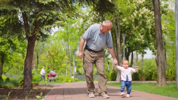 Dědeček drží dítě ruce pomáhá dělat první kroky, rodinná podpora, krásný vztah. - Záběry, video