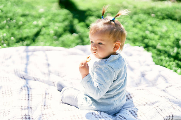 Little baby girl sits on a blanket on the green grass and holds a fruit chip in her hand. Back view - Φωτογραφία, εικόνα