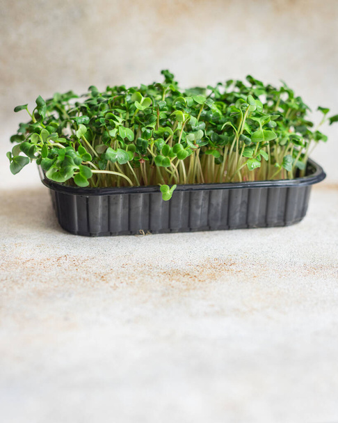 fresh microgreen close up - Photo, Image