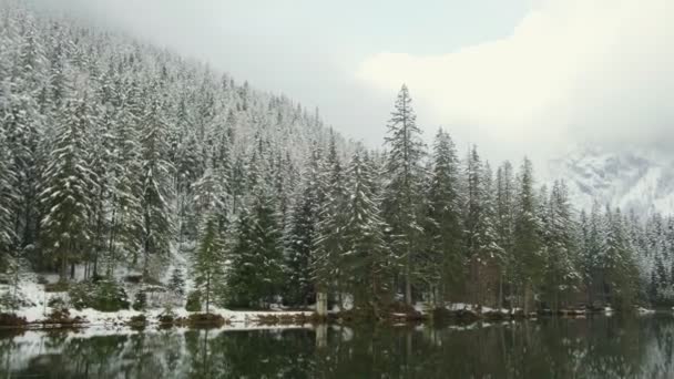 Панорамний вид на спокійну поверхню Зеленого озера в Австрії. Озеро оточене високими Альпами і густим лісом, що відбивається на поверхні озер.. - Кадри, відео