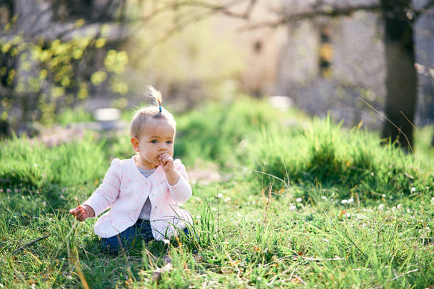 Mała dziewczynka siedzi na zielonym trawniku i gryzie ciasteczko, trzymając je w ręce - Zdjęcie, obraz