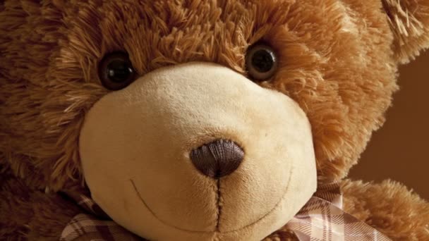 Veselý Kind přítel plyšový medvídek roztomilý hračka v blízkosti - Záběry, video