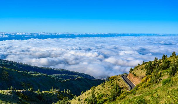 Madeira Island - View Point of mountain scenery of the highland - tabove the clouds - ravel destination for hiking and outdoor sports - Portugal - Zdjęcie, obraz