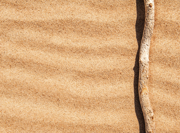 trockener Ast auf dem Sand - Foto, Bild