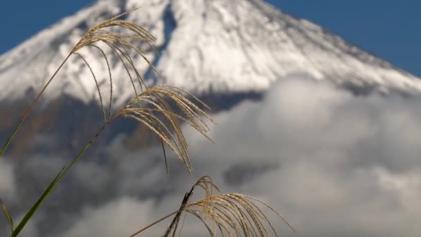 Les nuages blancs sur le mont Fuji au Japon avec la pointe enneigée - Séquence, vidéo