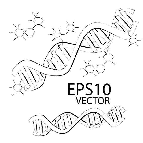 Esbozo de ADN eps10
 - Vector, imagen