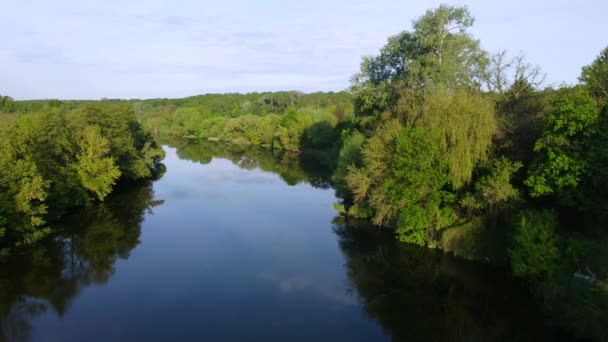 Lotnicze drony widok lot nad lustrem gładka powierzchnia rzeki i drzew - Materiał filmowy, wideo