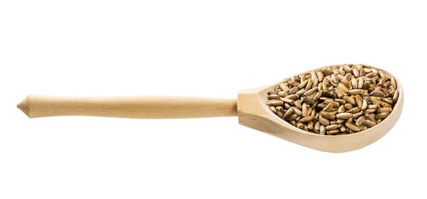 cuillère en bois avec graines de chardon-Marie entières isolées sur fond blanc - Photo, image