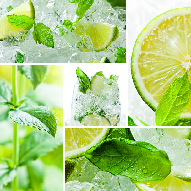 pedaços de limão e folhas de hortelã com gelo
 - Foto, Imagem