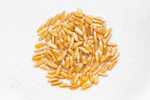 vista superior de la pila de granos de trigo Kamut Khorasan de cerca en placa de cerámica gris - Foto, imagen