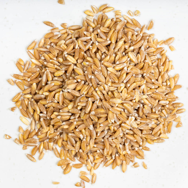 вид зверху купа зерна пшениці Emmer з закритим купою на сірій керамічній пластині
 - Фото, зображення
