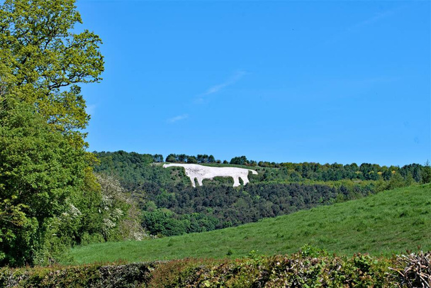 O Kilburn White Horse pode ser visto por milhas ao redor e é dito ser a maior e mais setentrional figura colina na Inglaterra. - Foto, Imagem