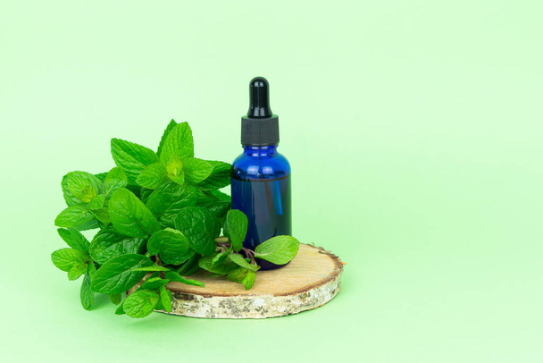 Mint leaves and essence dropper bottle on birch wood slice and green background. Copy space. - Foto, afbeelding
