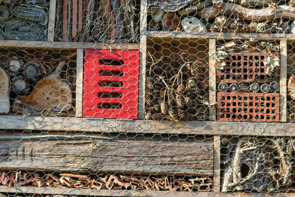 Hotel abelha orgânica como local de nidificação com buracos em madeira para proteção da natureza de espécies e ninhos de buraco abelhas de apicultores como habitat natural para abelhas selvagens e para resgatar espécies ameaçadas de eclosão - Foto, Imagem