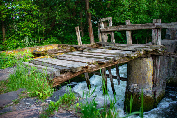 Vieux pont en bois vintage dans la forêt verte  - Photo, image