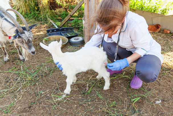 Veterinarian woman with syringe holding and injecting goat kid on ranch background. Young goatling with vet hands, vaccination in natural eco farm. Animal care, modern livestock, ecological farming - Photo, Image