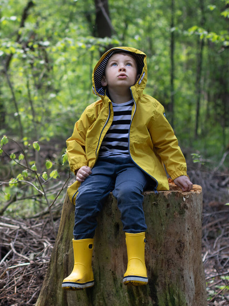 Little boy in a yellow jacket sits in the forest on a stump - Zdjęcie, obraz