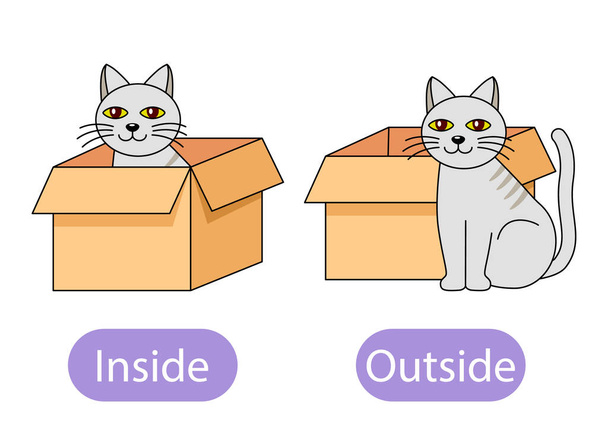 the cat sits inside the box and next to the box. the concept of children learning opposite prepositions inside and out. vector illustration isolated on white background - Vector, Image