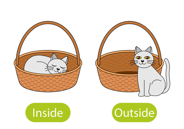 the cat sits inside the box and next to the basket. the concept of children learning opposite prepositions inside and out. vector illustration isolated on white background - Vector, Image